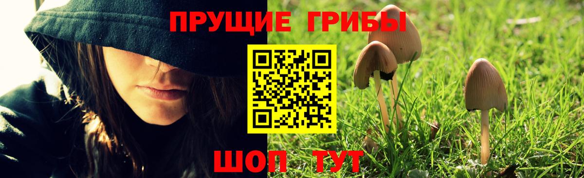 Богданович  Галлюциногенные грибы Magic Shrooms  Галлюциногенные грибы GOLDEN TEACHER  Вход с VPN 